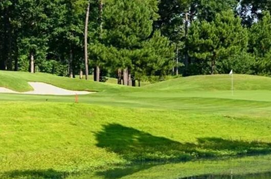 Golf fairway and green with trees and bunkers